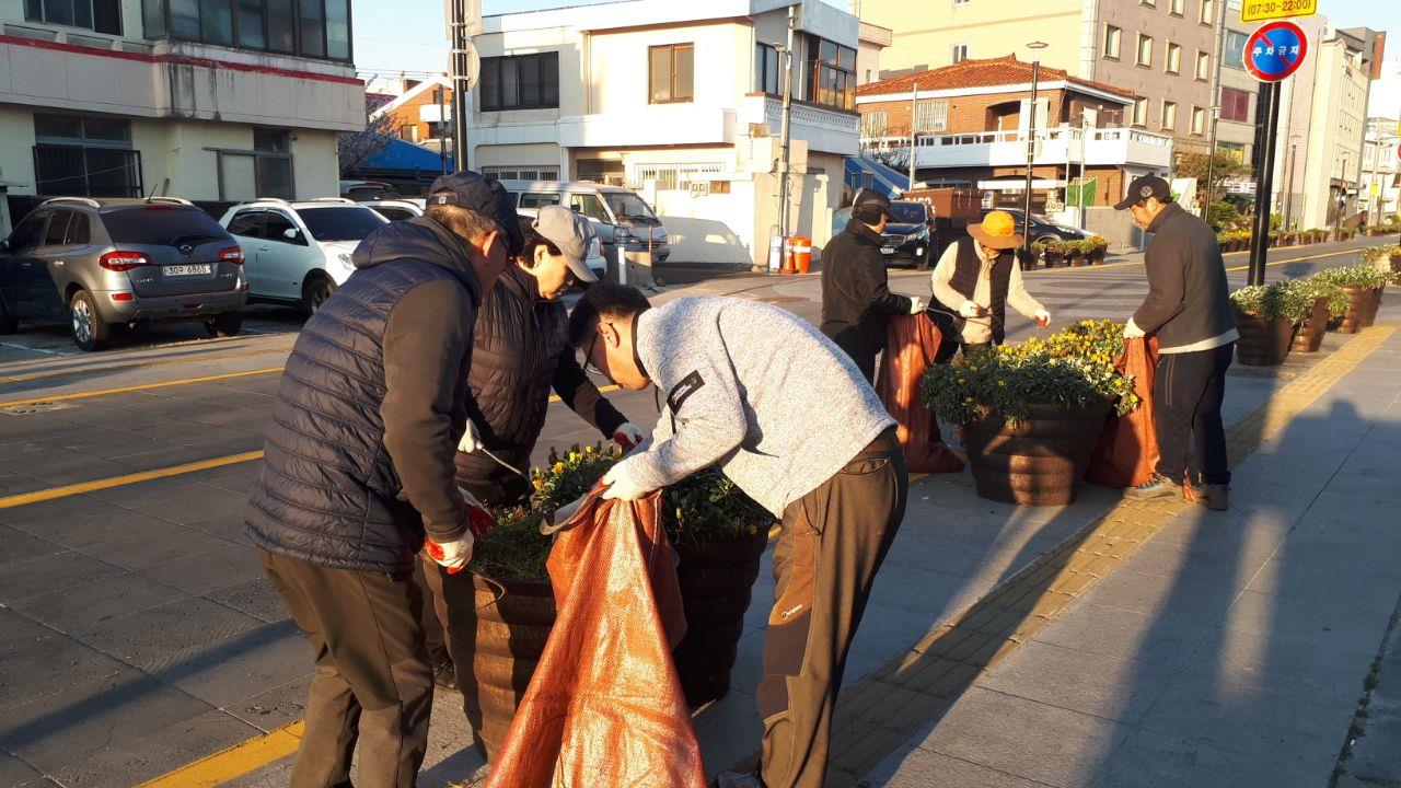 원본 이미지 보기