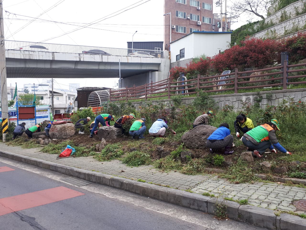 원본 이미지 보기