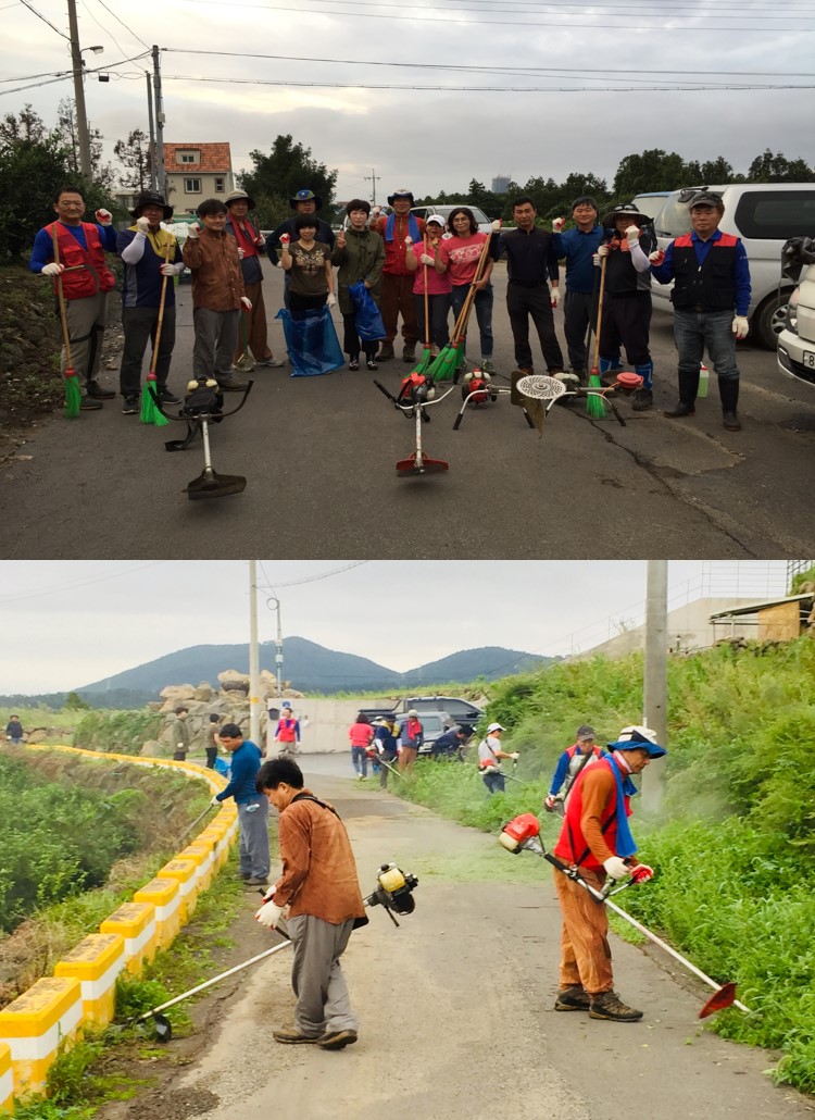 원본 이미지 보기