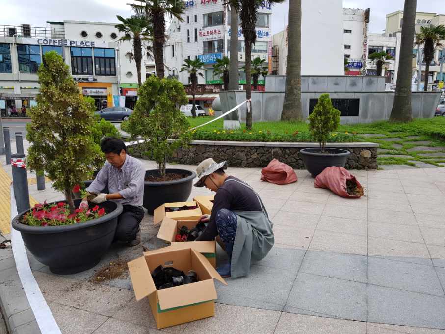 원본 이미지 보기