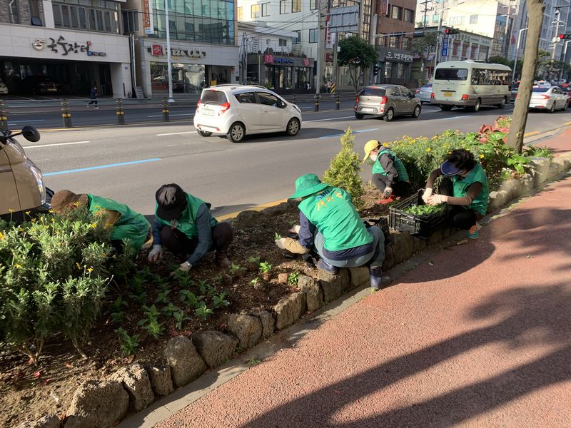 원본 이미지 보기