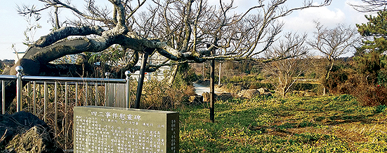 동광전지 이미지