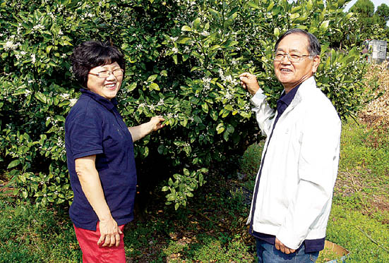 제주愛 이미지
