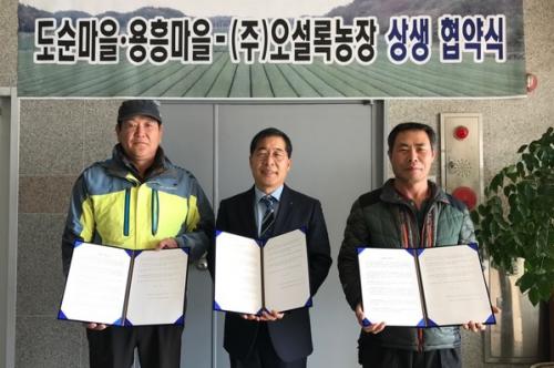서귀포전기 이미지
