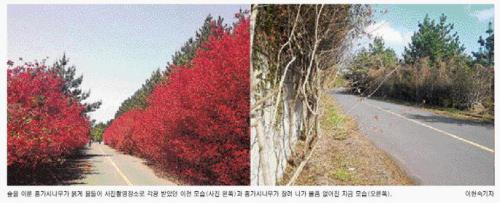 홍플레이스 이미지