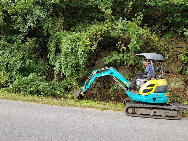 (주)오설록농장 이미지