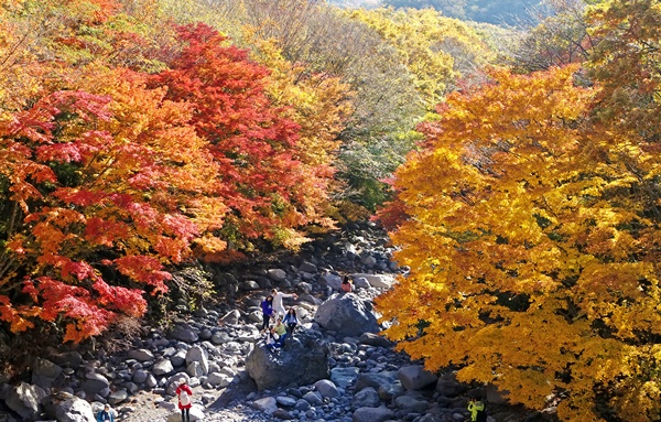 한라산 천아계곡 단풍. 연합뉴스