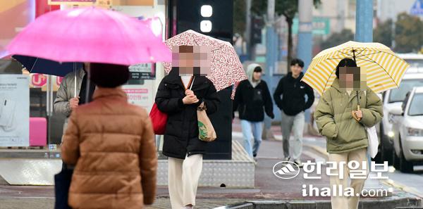 겨울비 내리는 제주. 한라일보DB