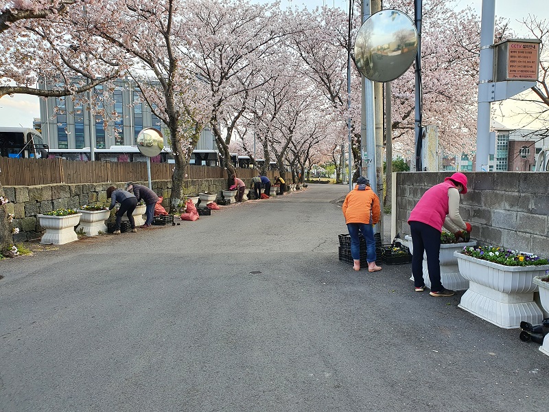 원본 이미지 보기