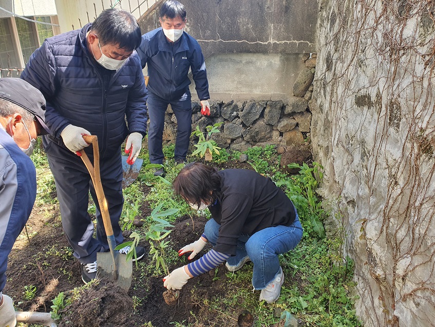 원본 이미지 보기