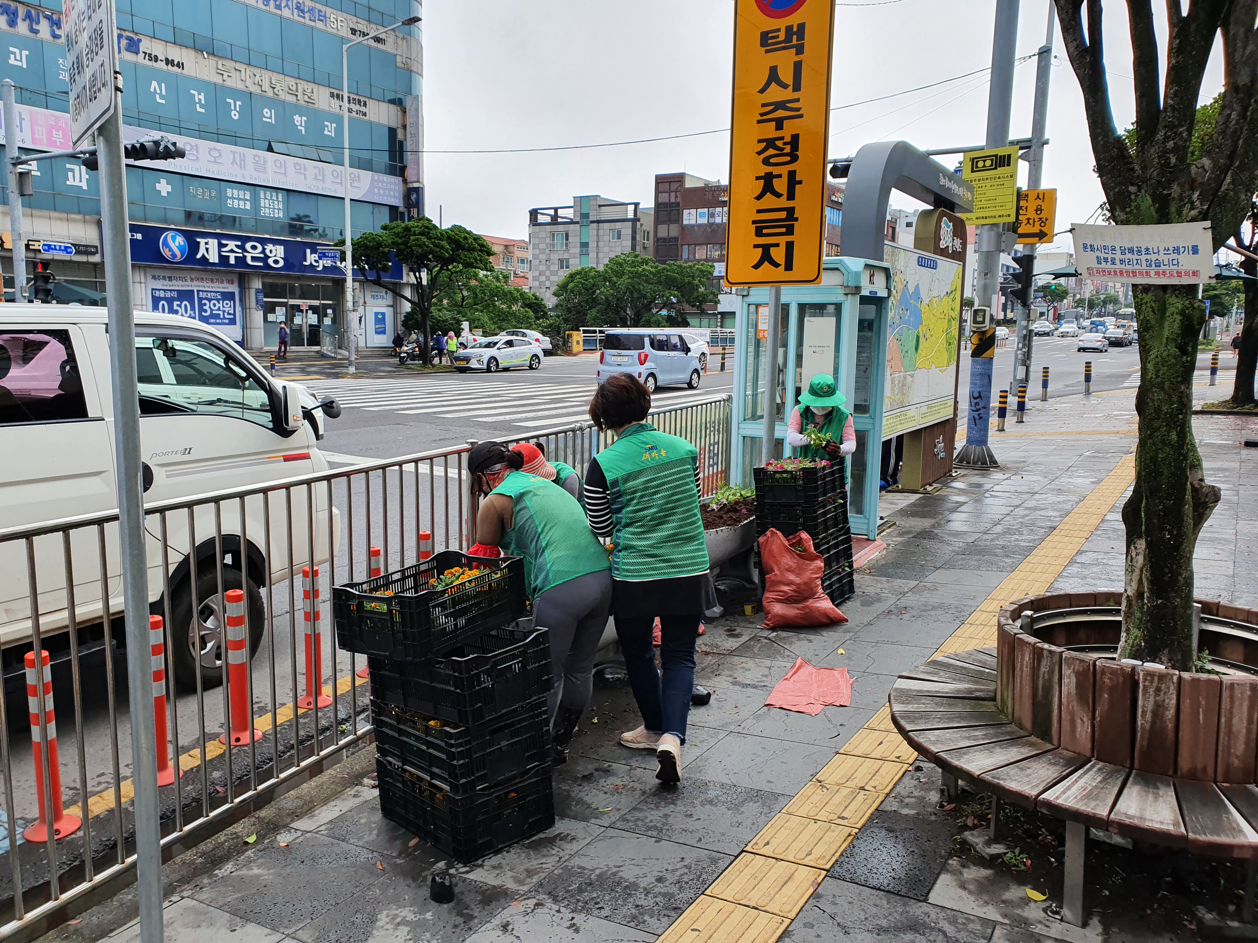 원본 이미지 보기