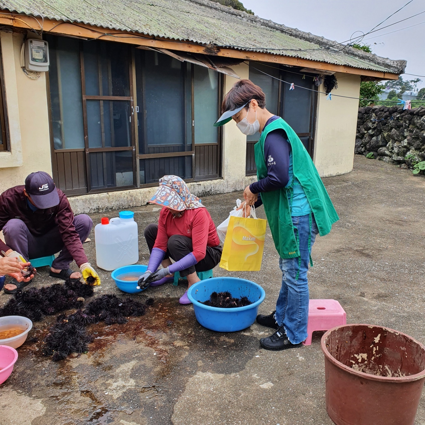 원본 이미지 보기