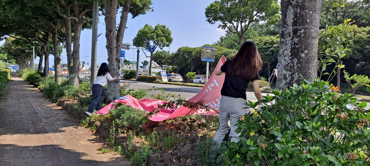 원본 이미지 보기