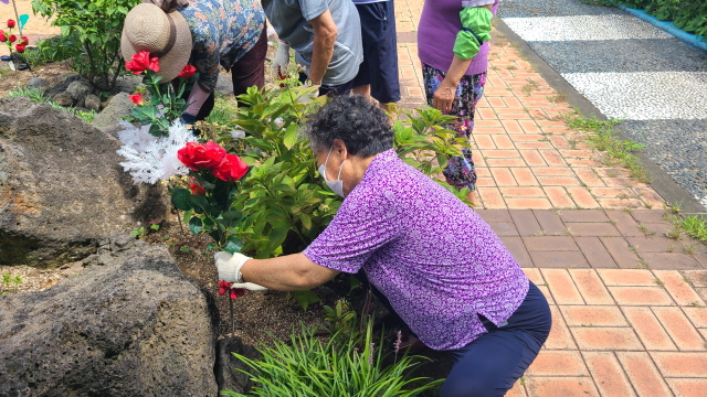 원본 이미지 보기