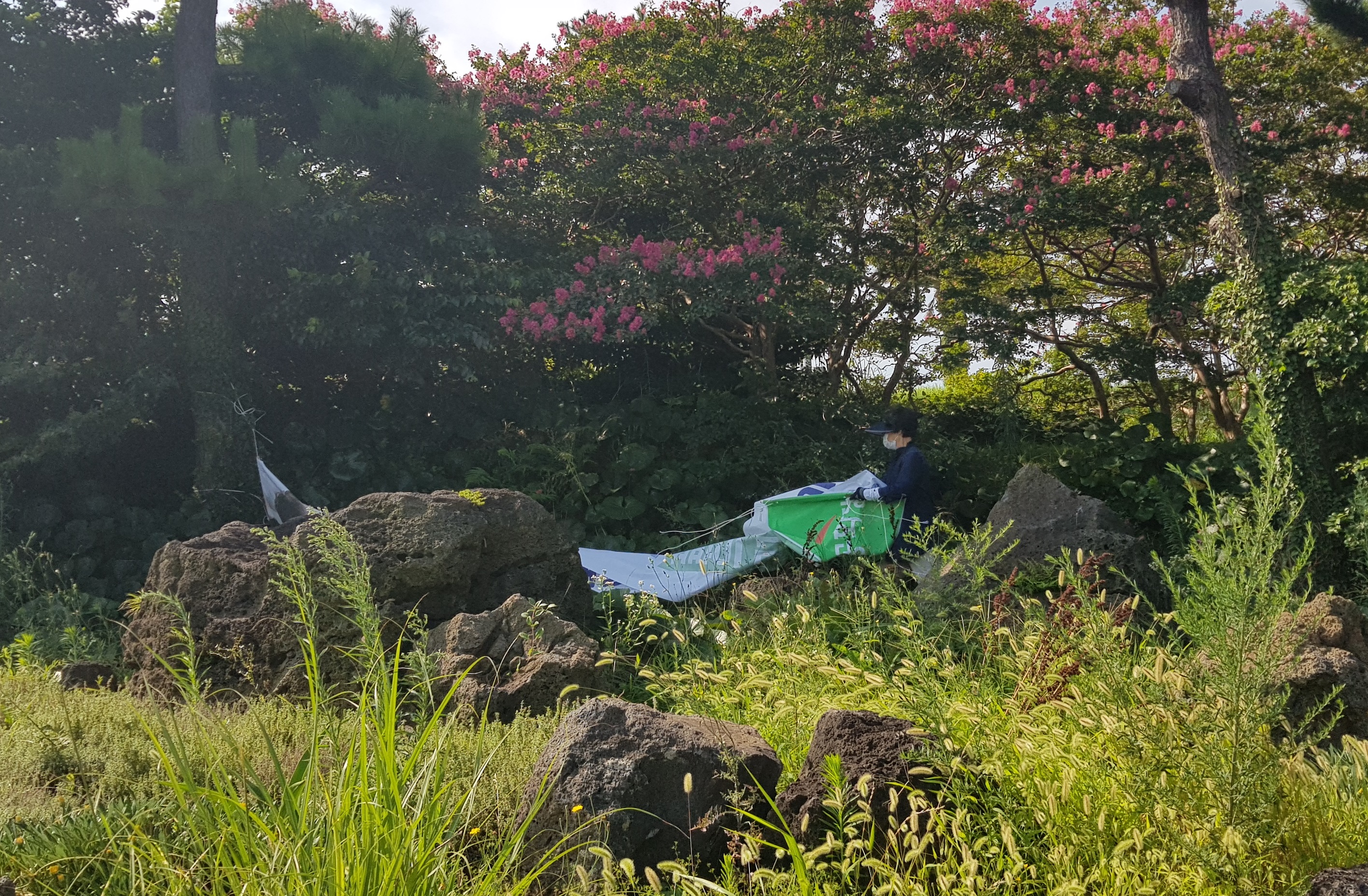 원본 이미지 보기