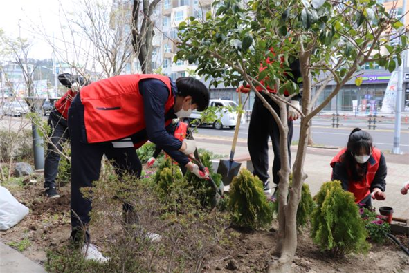 원본 이미지 보기