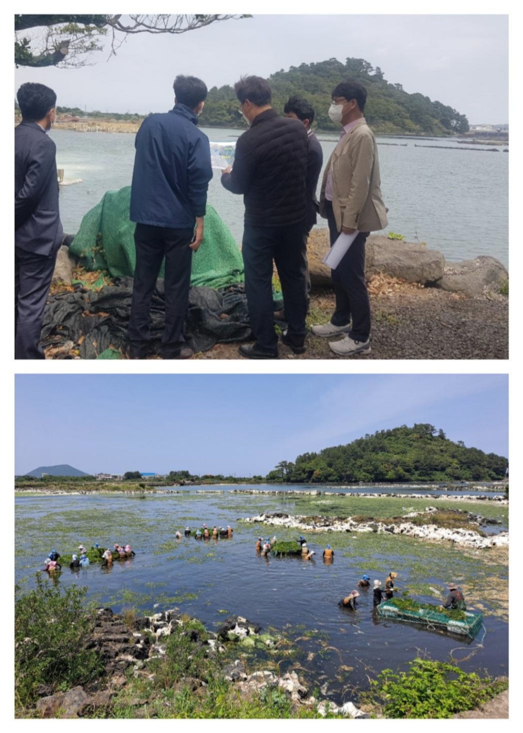 원본 이미지 보기