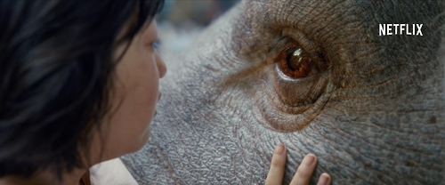 '옥자' [넷플릭스 제공]