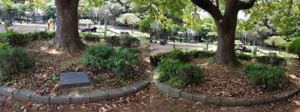 제주시 신산공원내 전두환 표지석 철거 전과 후의 모습.  사진=제주시 제공