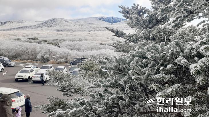 한라산 1100고지 설경. 한라일보DB